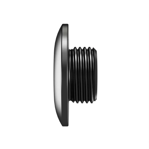 M12x1.0 x 6mm large head bolt for DROPOUT-368 - DROPOUT-FAST-05