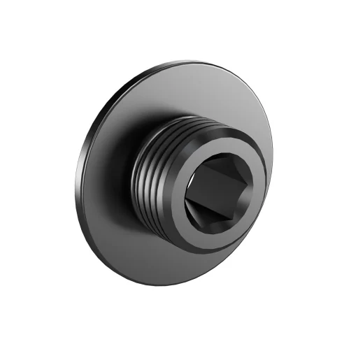 M12x1.0 x 6mm large head bolt DROPOUT-FAST-05