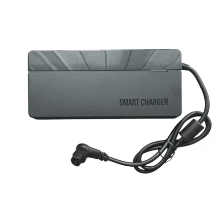 Giant L-Type Smart Charger 6A