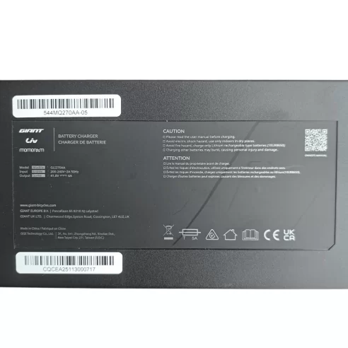 Giant L-Type Smart Charger 6A, 710000009