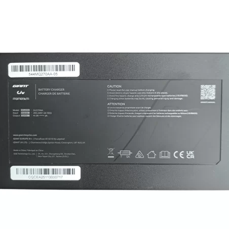 Giant L-Type Smart Charger 6A, 710000009