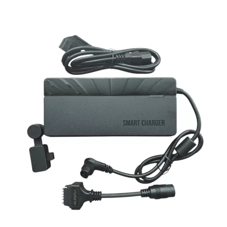 710000009 L-Type Smart Charger 6A for giant bikes