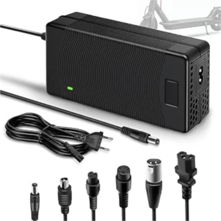 Jizzu E-bike charger, 54.6V-2A, B0DJXYPMLS