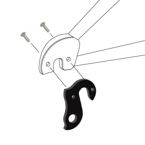 Bianchi, BMC, Fondriest derailleur hanger | DROPOUT-87 Instructions