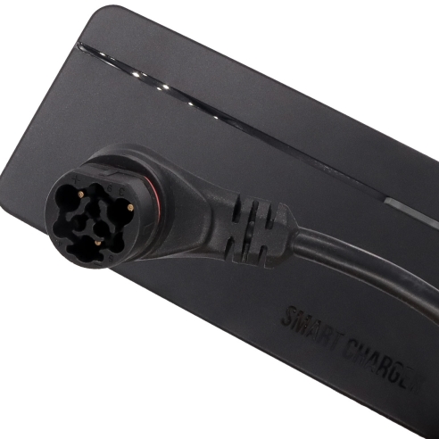 Giant EnergyPak Smart Charger. 200/240V, 48V/4A, Without AC power cable 544-Q240CB-02