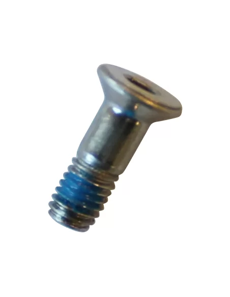 Marwi UNION GH-181 derailleur hanger screws